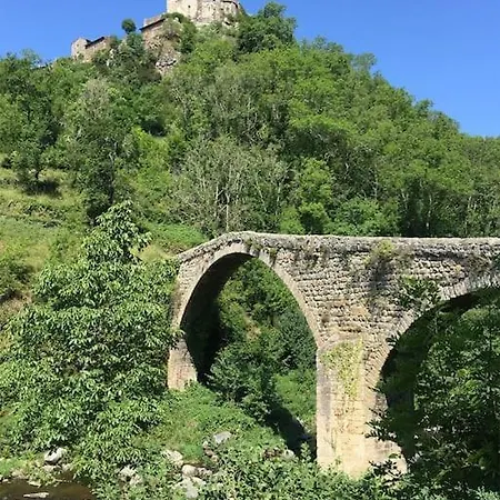 Maison D'artiste De Village Rozier-Cotes-d'Aurec